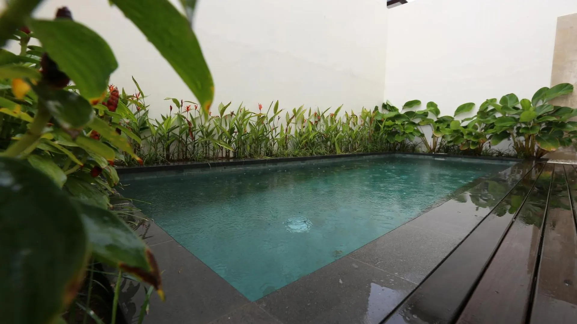 Rivera Villa Seminyak Seminyak (Bali)